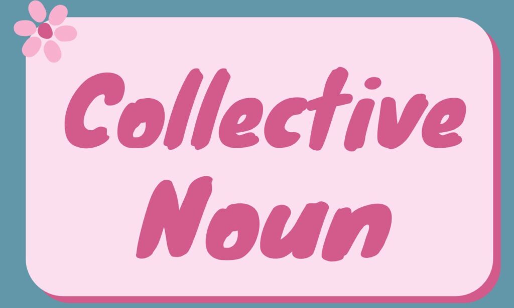 Collective Noun – Definition, Rules, Types and Easy Examples