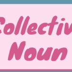 Collective Noun – Definition, Rules, Types and Easy Examples